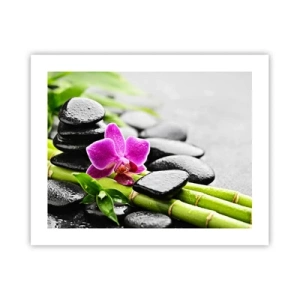 Poster - Într-un echilibru pașnic - 50x40 cm