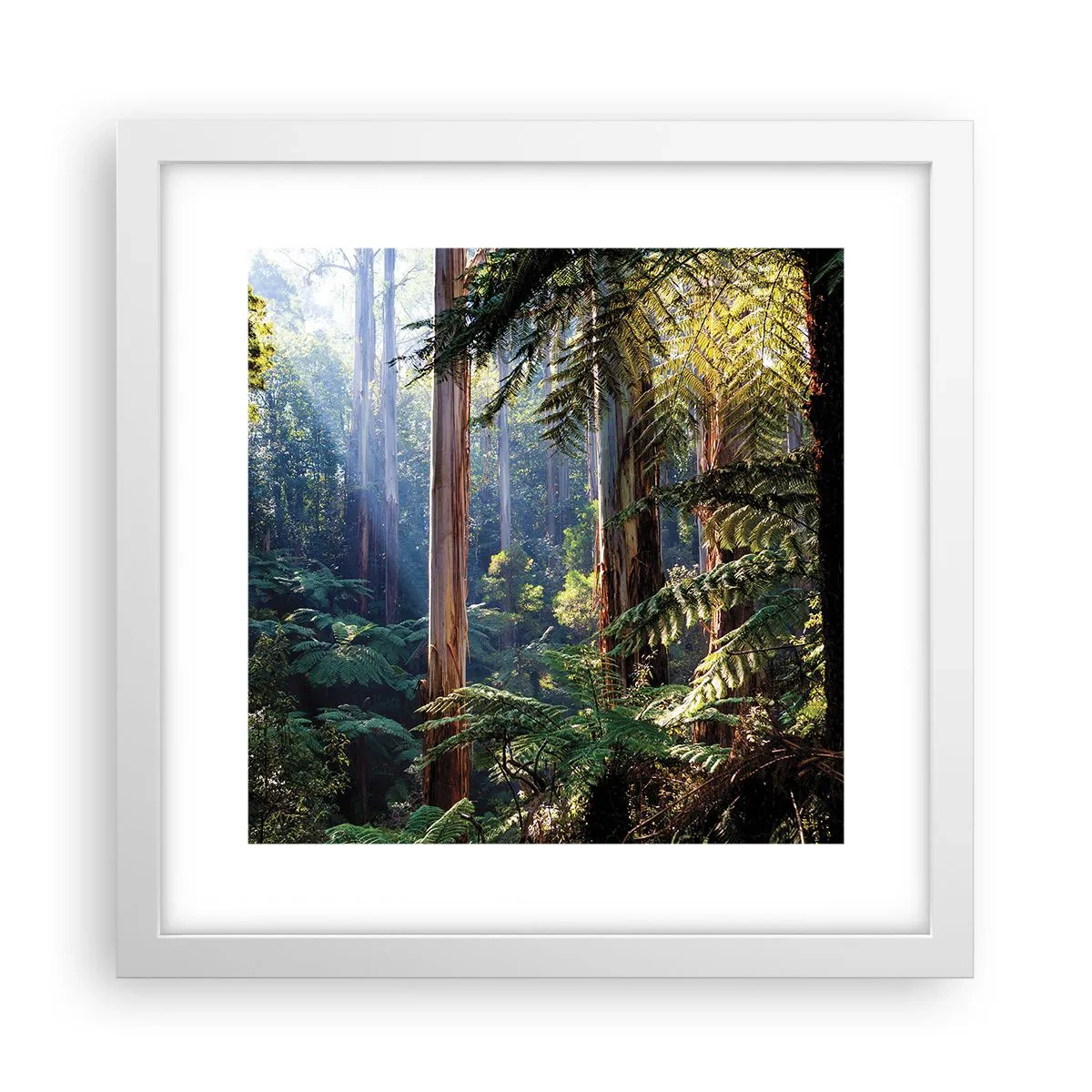 Poster în ramă albă - O poveste din pădure - 30x30 cm