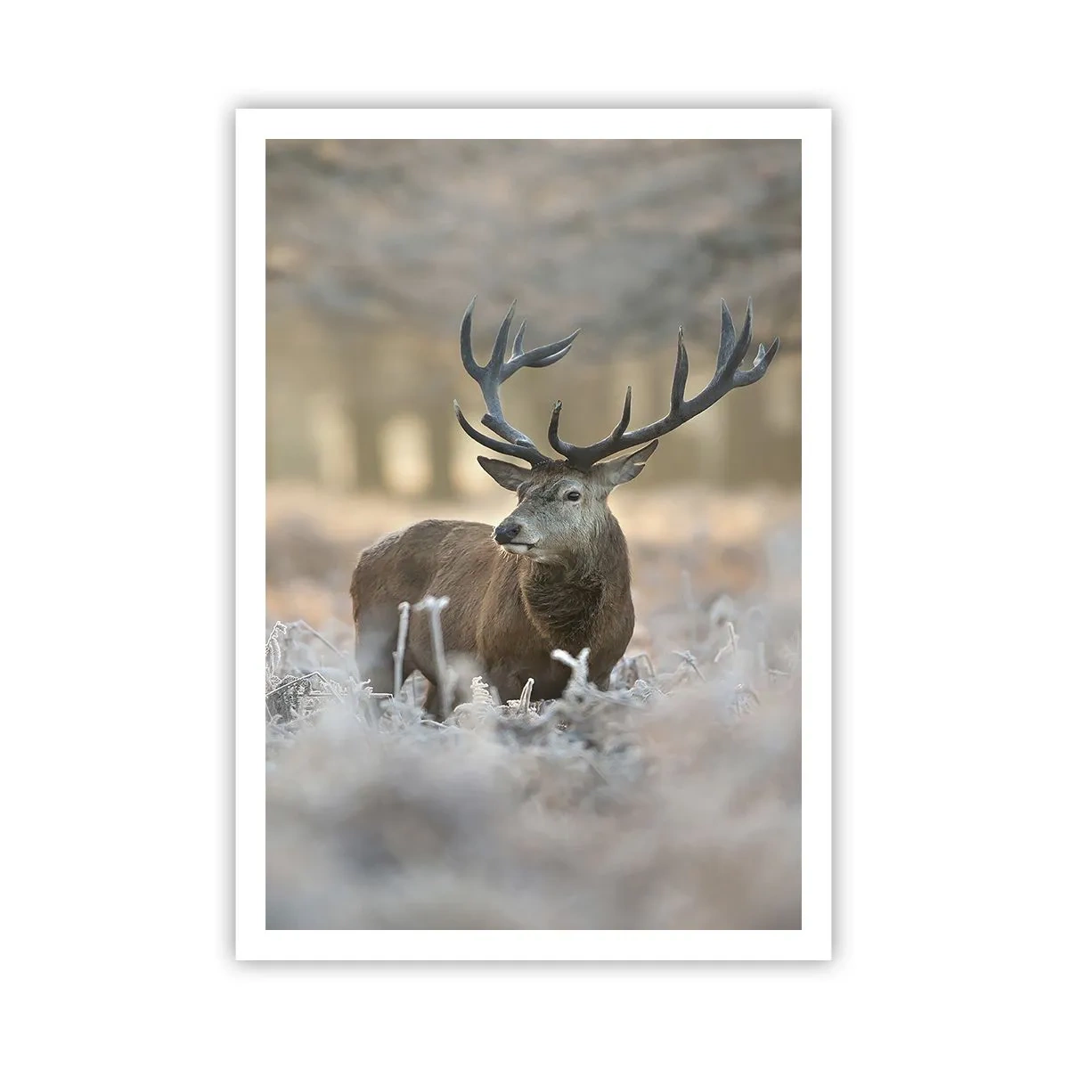 Poster - O dimineață răcoroasă - 70x100 cm