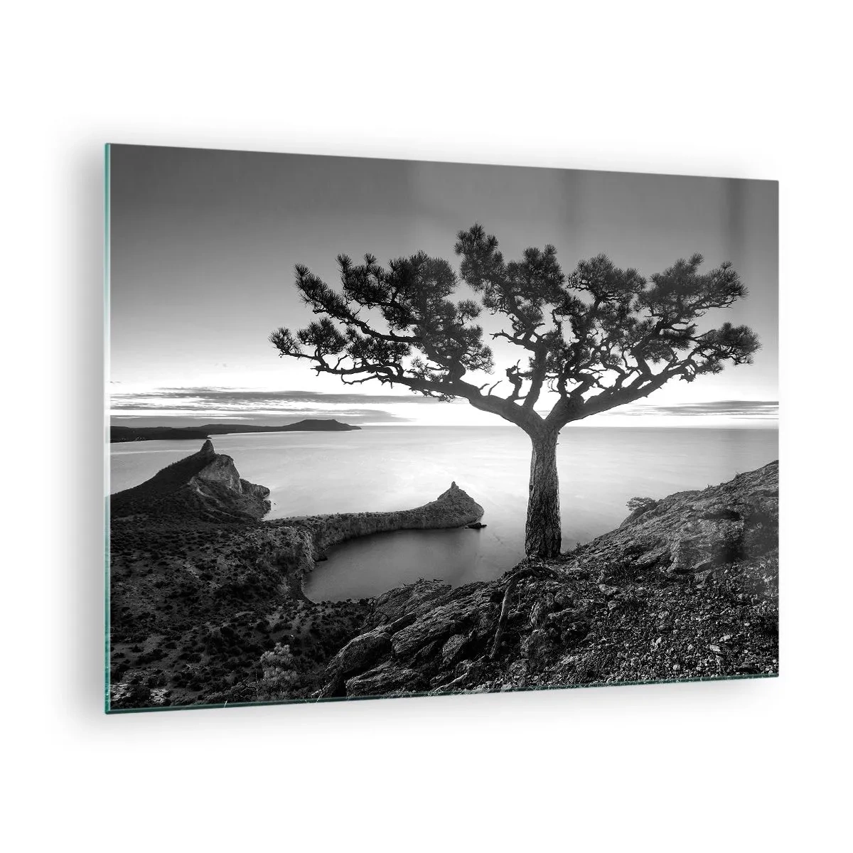 Tablou pe sticlă - Un copac pe o stâncă cu vedere la golf - 70x50cm - Liniște până la orizont - Decorațiune modernă pentru perete pentru living și dormitor ARTTOR