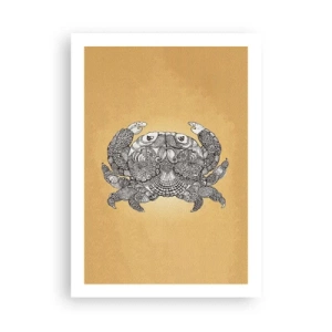Poster - Poveștile Domnului Crab - 50x70 cm