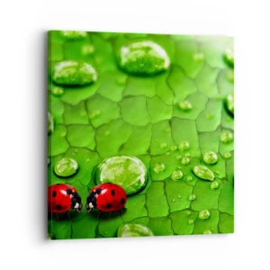 Tablou pe pânză - Întâlnire în verde - 30x30 cm