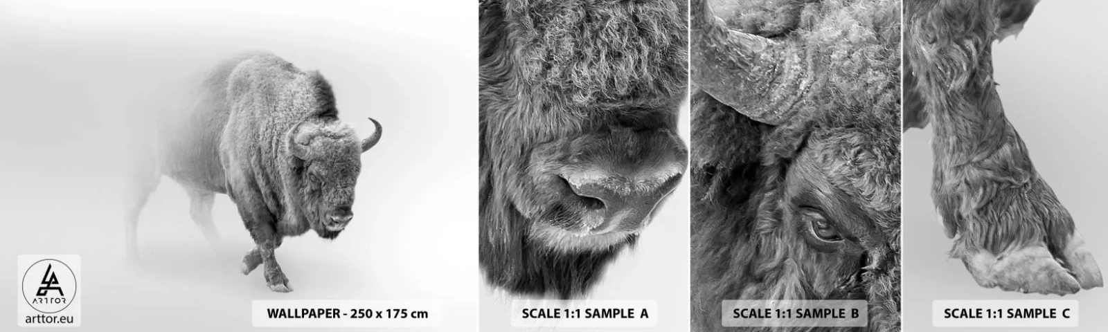 Mostră de Tapet Standard Eco - Regele preriilor - Wisent, Animale, zimbri - 100x30 cm