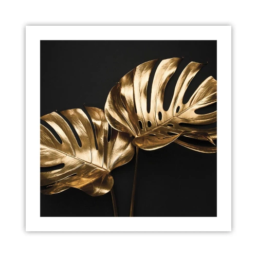 Poster - Comorile naturii - 50x50 cm