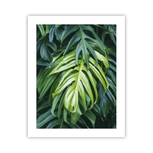 Poster - Scufundă-te în prospețime - 40x50 cm