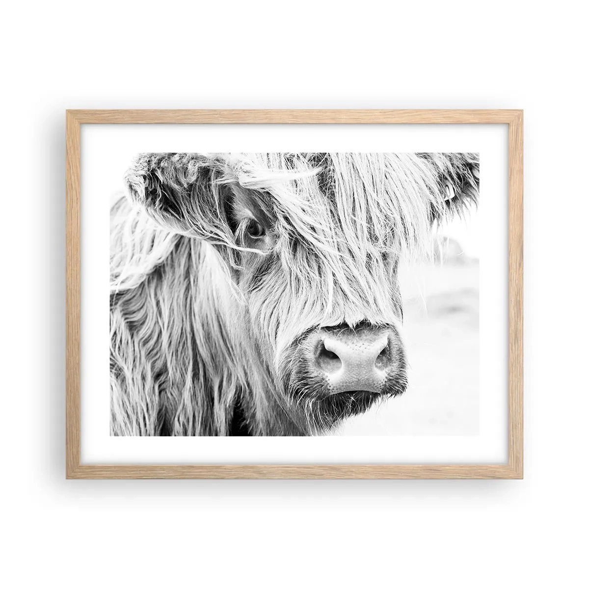 Poster în ramă de stejar deschis - Sălbăticie scoțiană - 50x40 cm