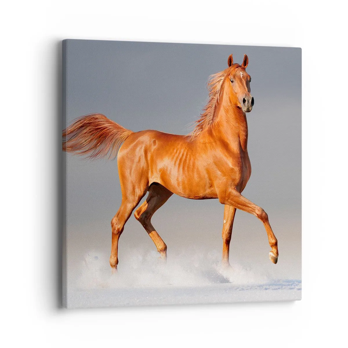 Tablou pe pânză - Dansul grației - 40x40 cm