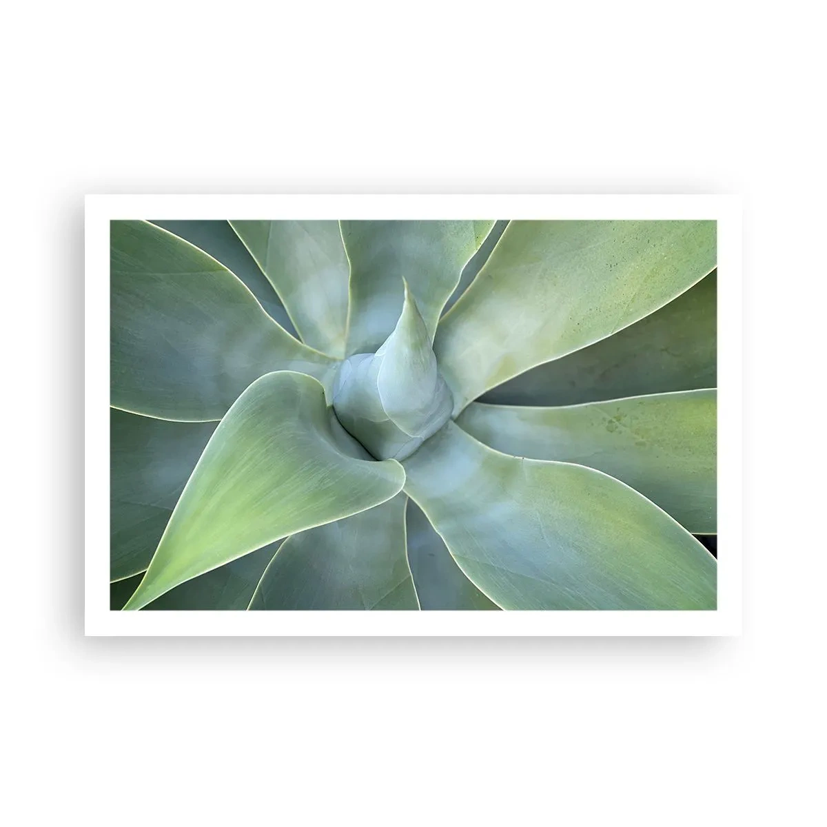 Poster - Nașterea verdeții - 91x61 cm