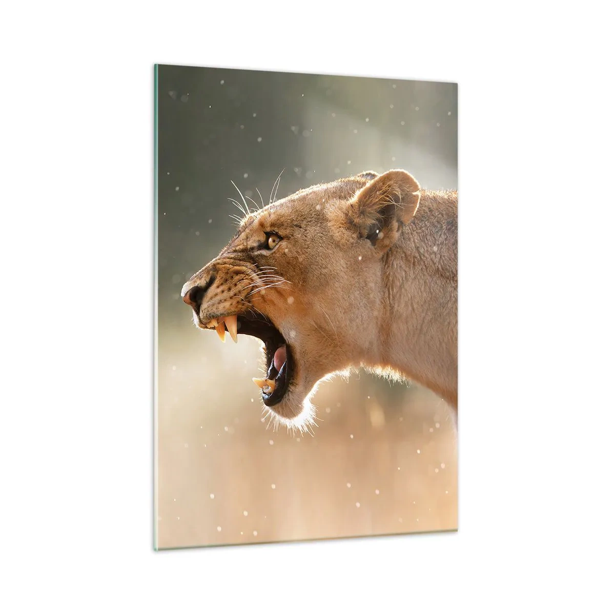 Tablou pe sticlă - Încearcă să nu asculți - 50x70 cm