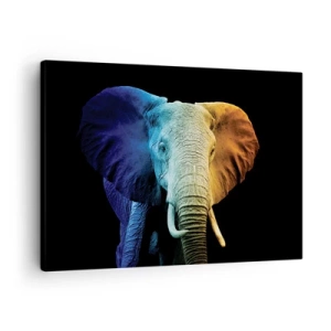 Tablou pe pânză Canvas - Portret de elefant în culorile curcubeului - 70x50cm - Excentric, nu ciudat - Decorațiune modernă pentru perete pentru living și dormitor ARTTOR