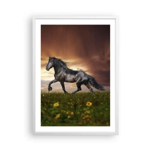Poster în ramă albă - Prințul negru - 50x70 cm