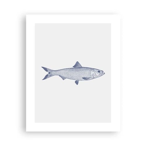 Poster - Salutări din mările nordice - 40x50 cm