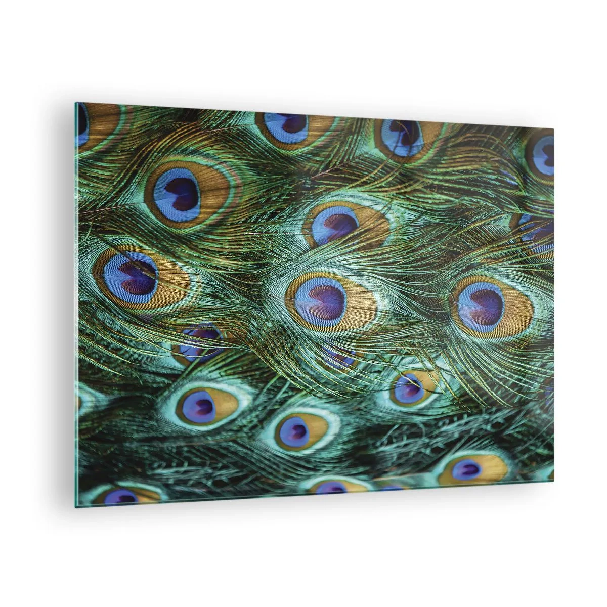 Tablou pe sticlă - Detaliu al penelor de păun cu ochi distincti - 70x50cm - O privire cu ochi de păun - Decorațiune modernă pentru perete pentru living și dormitor ARTTOR