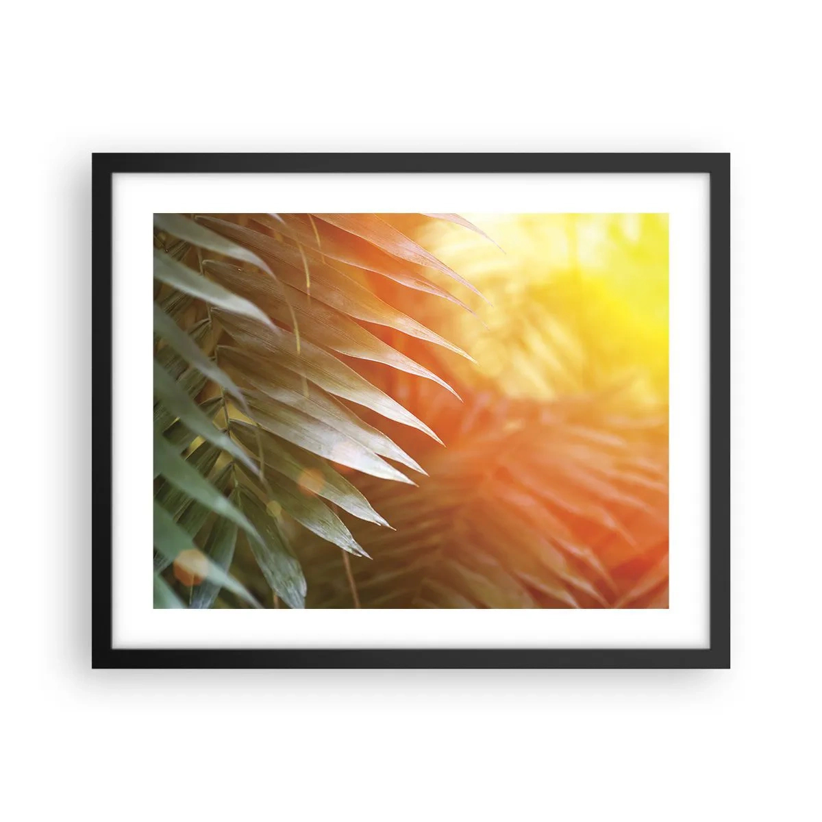 Poster în ramă neagră - Dimineață în junglă - 50x40 cm