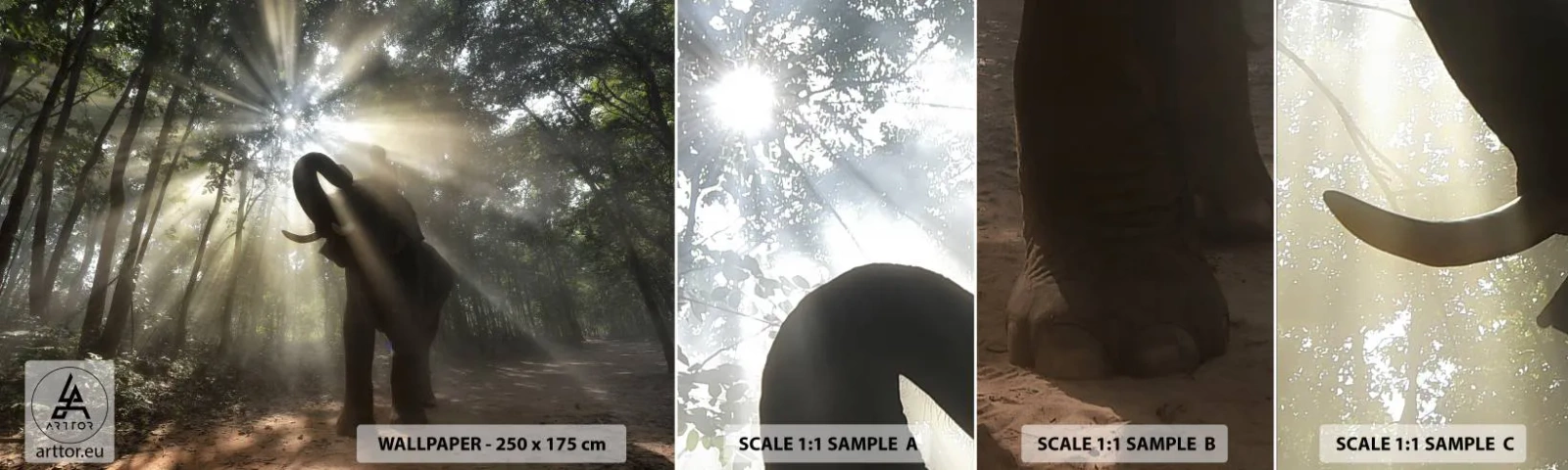 Mostră tapet autocolant Deluxe Sticker - Sub o stea norocoasă - Peisaj, Elefant, Junglă - 100x30 cm