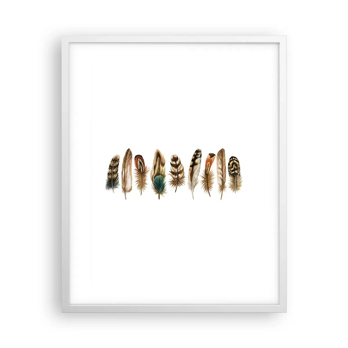 Poster în ramă albă - Variație cu pene - 40x50 cm