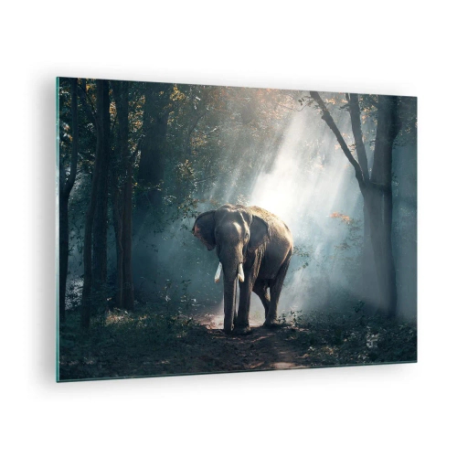 Tablou pe sticlă - Un elefant se plimbă prin pădure, în timp ce lumina soarelui se strecoară printre copaci. - 70x50cm - O plimbare liniștită - Decorațiune modernă pentru perete pentru living și dormitor ARTTOR