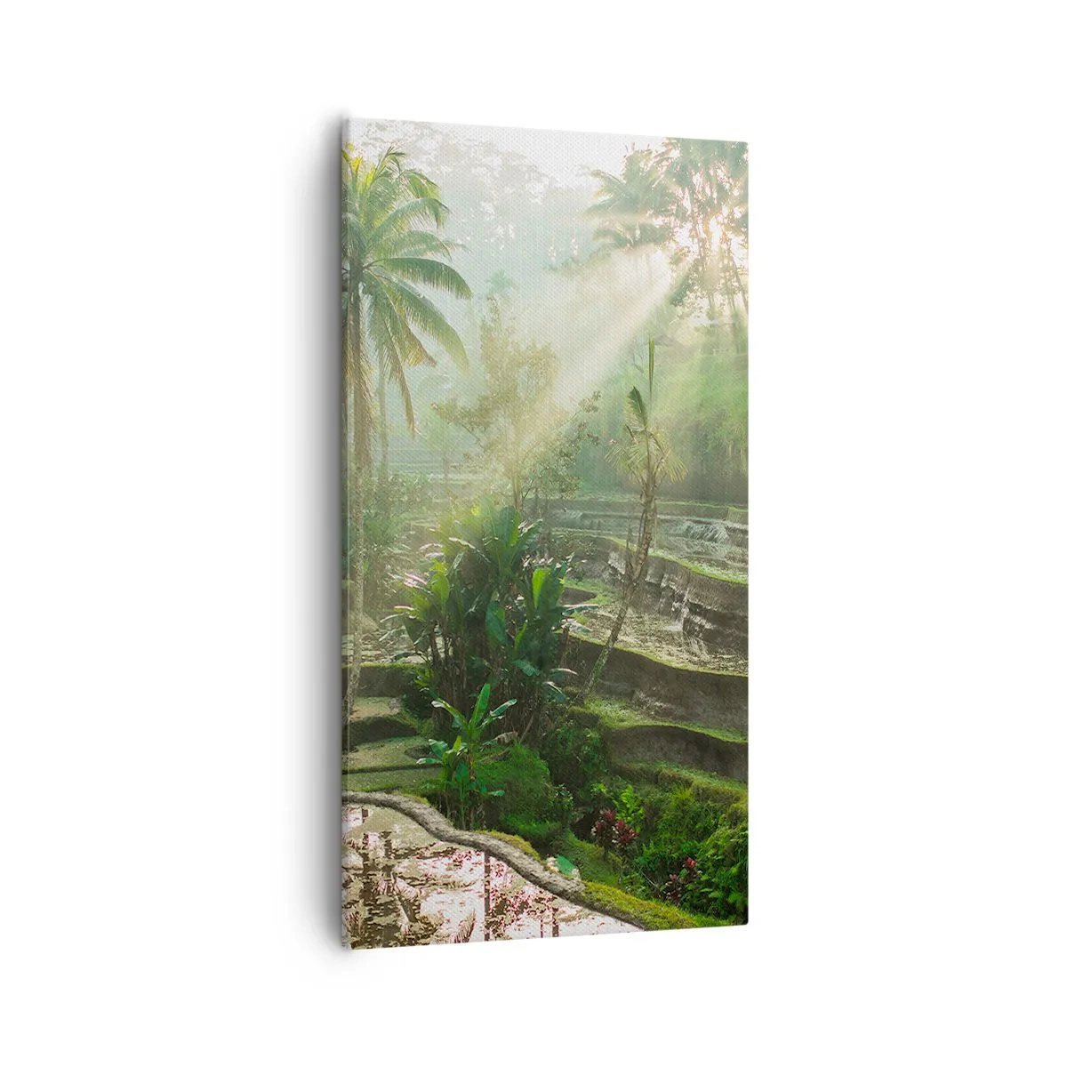 Tablou pe pânză - Crescând la soare - 55x100 cm