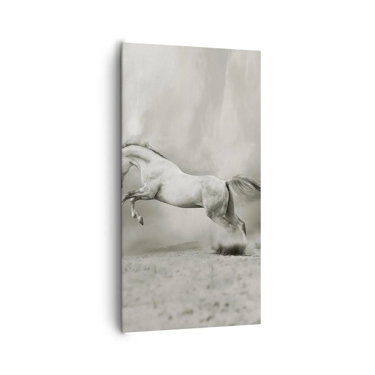 Tablou pe pânză - Între veghe și visare - 65x120 cm
