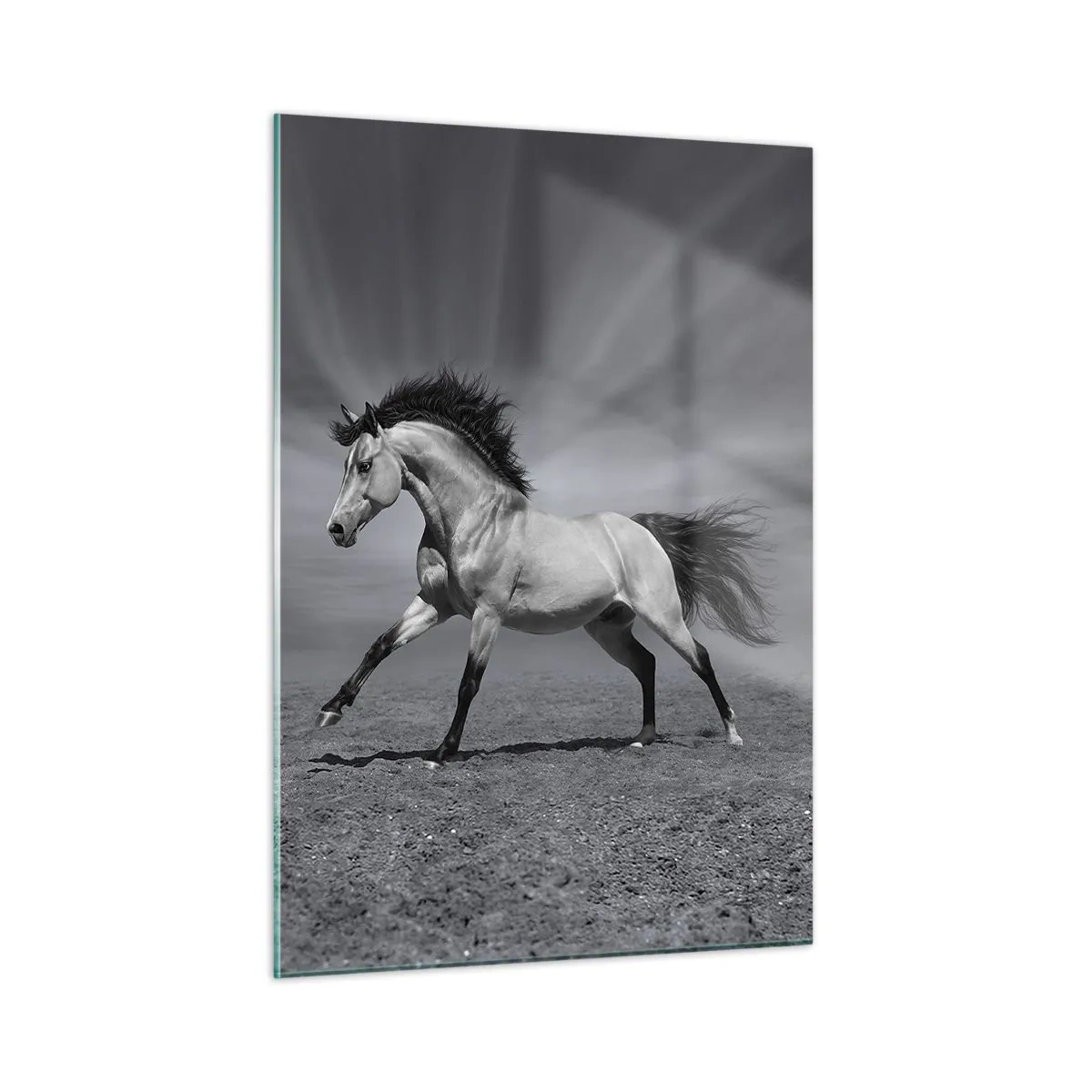 Tablou pe sticlă - Născut pentru a încânta - 50x70 cm