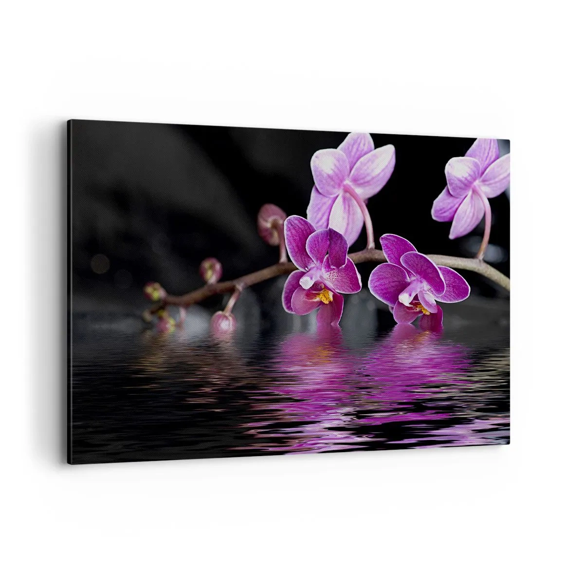 Tablou pe pânză - Reflecție de frumusețe în liliac - 120x80 cm