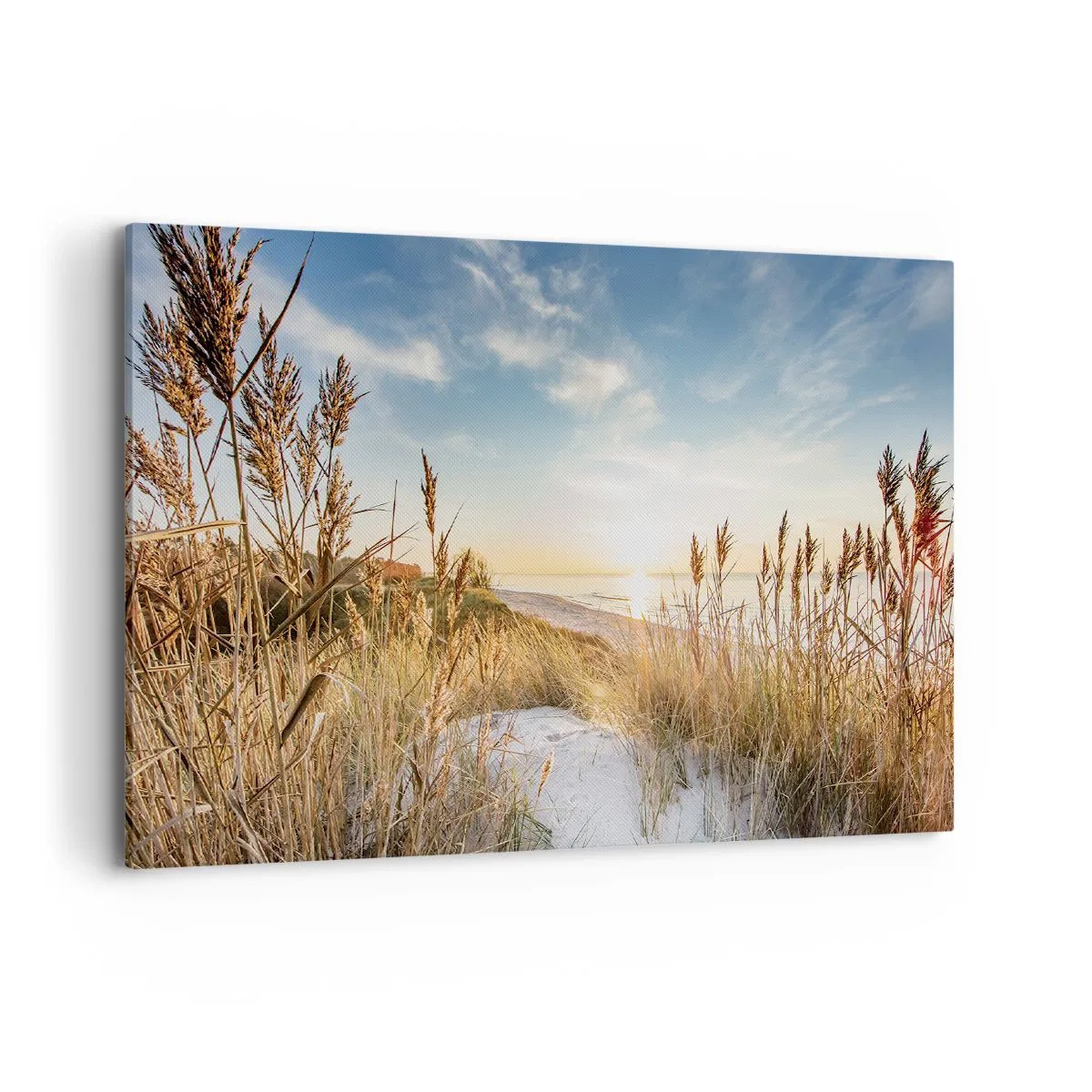 Tablou pe pânză - Plaja de nord - 100x70 cm