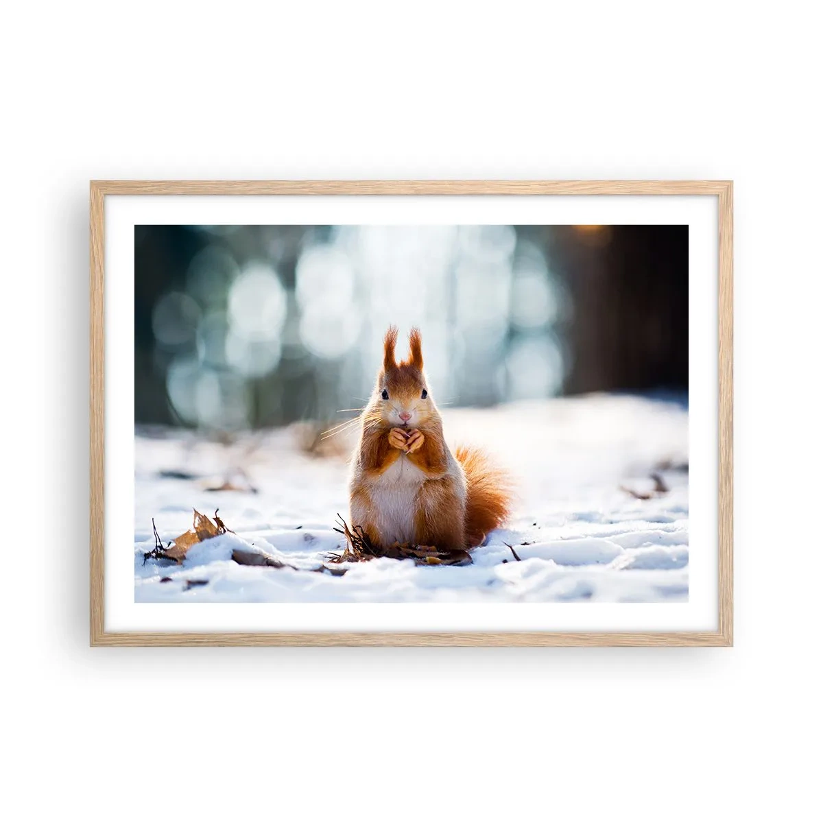 Poster în ramă de stejar deschis - Și la ce te uiți? - 70x50 cm