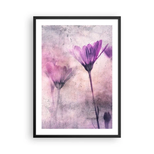 Poster în ramă neagră - Flori delicate în nuanțe de roz și violet pe un fundal deschis - 50x70cm - Un vis de flori - Decorațiune modernă pentru perete pentru living și dormitor ARTTOR