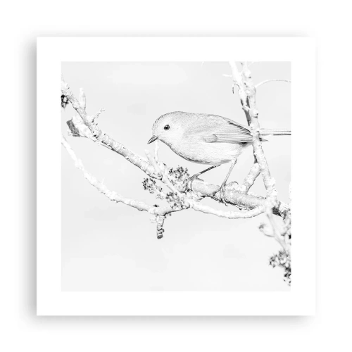 Poster - Dimineață de iarnă - 40x40 cm