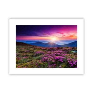 Poster - Ierburile proaspete miroseau puternic - 40x30 cm