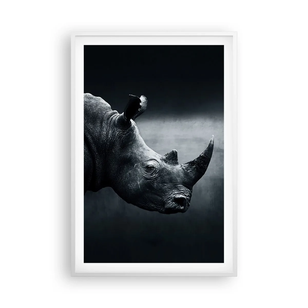 Poster în ramă albă - Profil drept - 61x91 cm