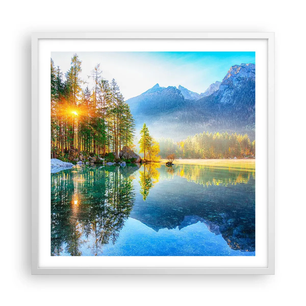 Poster în ramă albă - Maiestate și dulceață - 60x60 cm