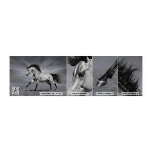 Mostră de Tapet Standard Eco - Născut pentru a încânta - Animale, Cal, Natură - 100x30 cm