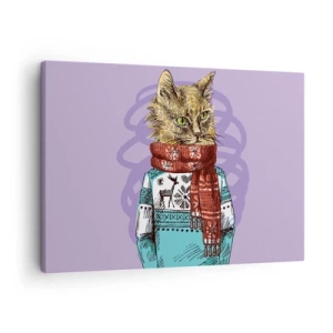 Tablou pe pânză Canvas - O pisică într-un pulover și o eșarfă pe un fundal violet - 70x50cm - Motanul nu numai încălțat - Decorațiune modernă pentru perete pentru living și dormitor ARTTOR