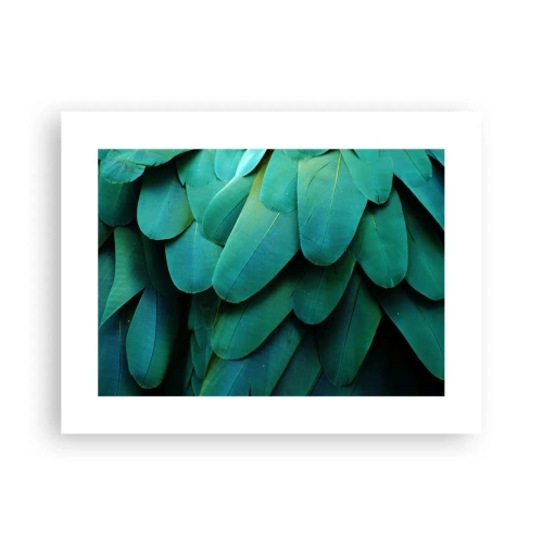 Poster - Precizia naturii papagalicești - 40x30 cm