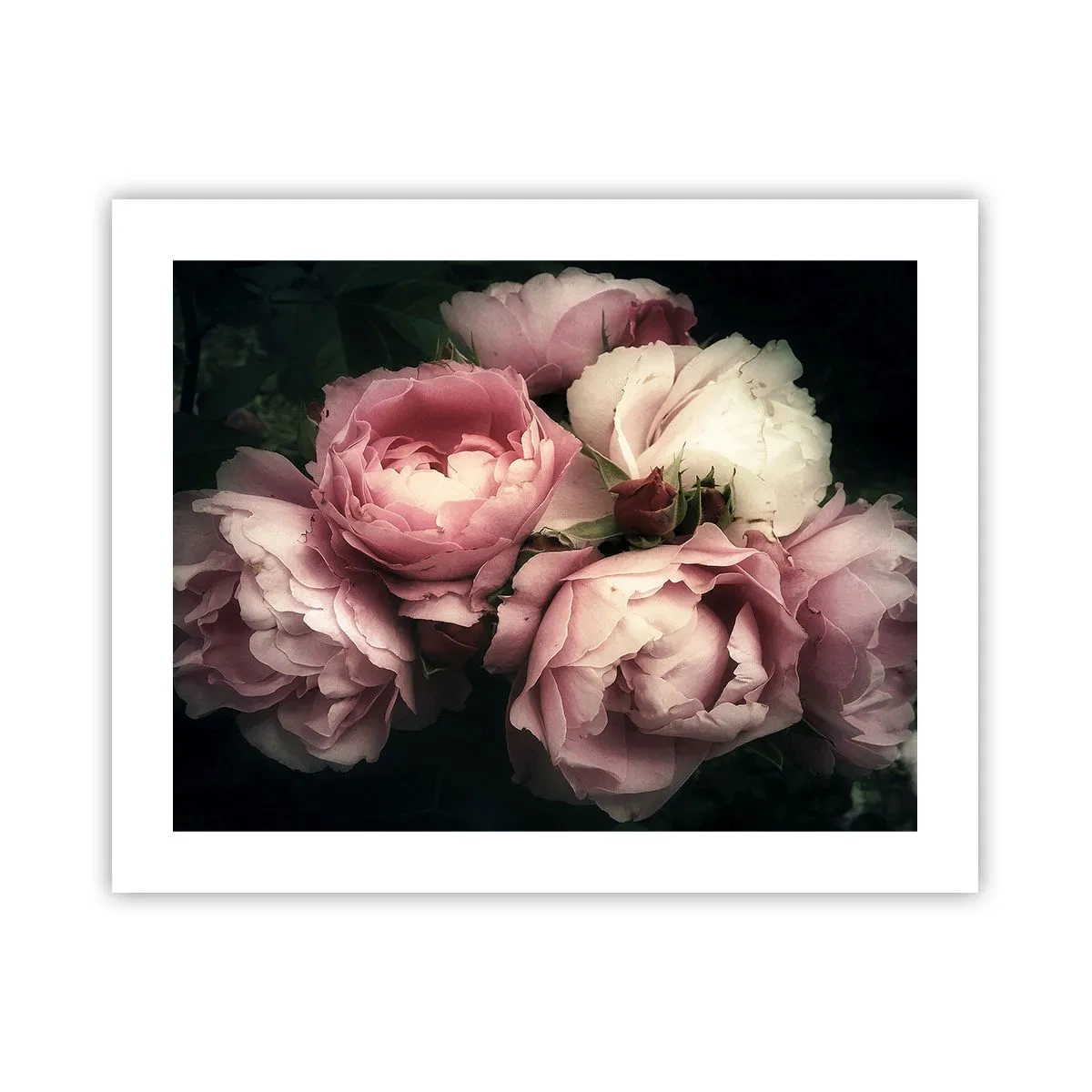 Poster - Farmecul belle epoque - 50x40 cm