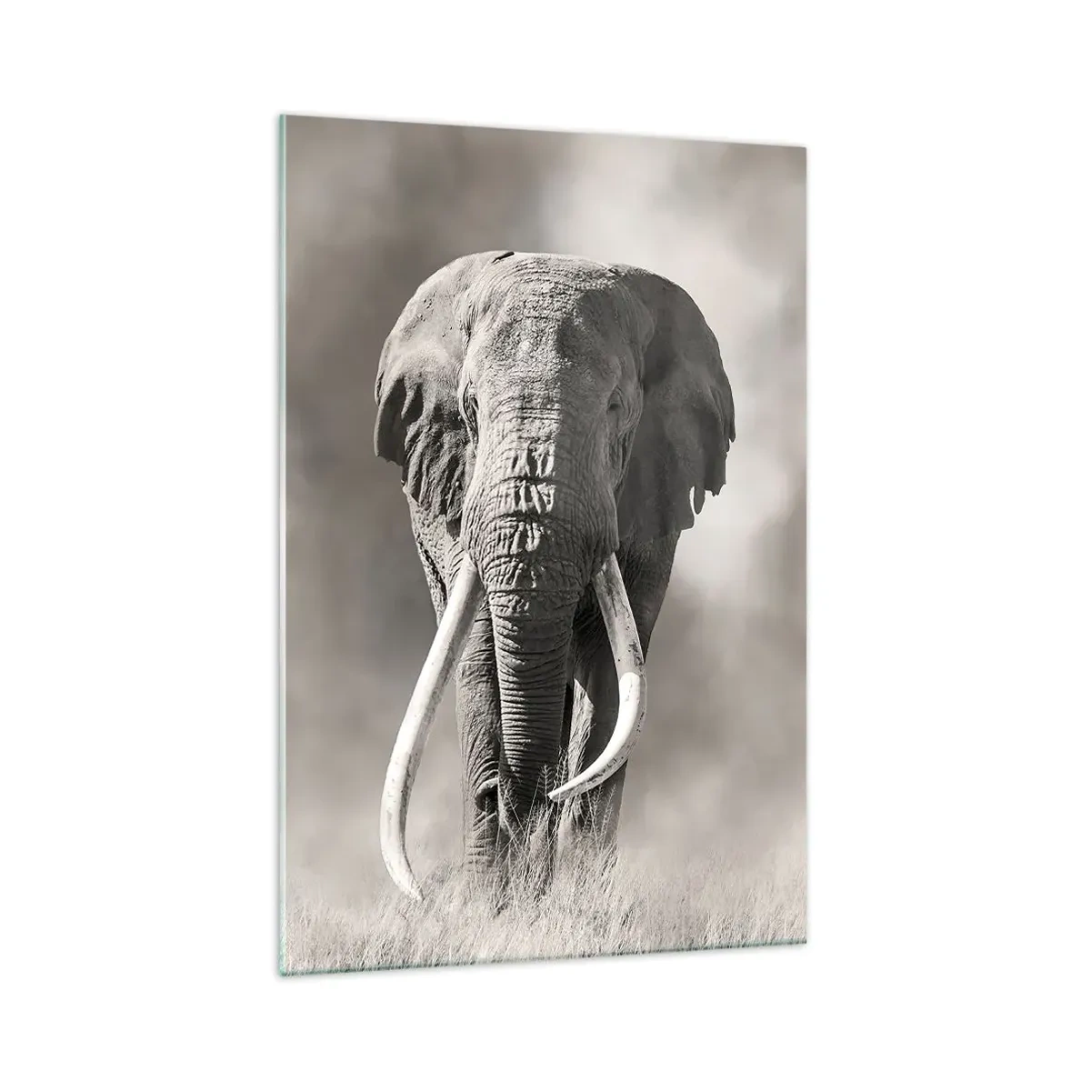 Tablou pe sticlă - Patriarh african - 70x100 cm