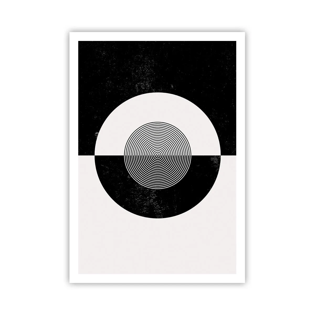 Poster - Armonie în alb și negru - 70x100 cm