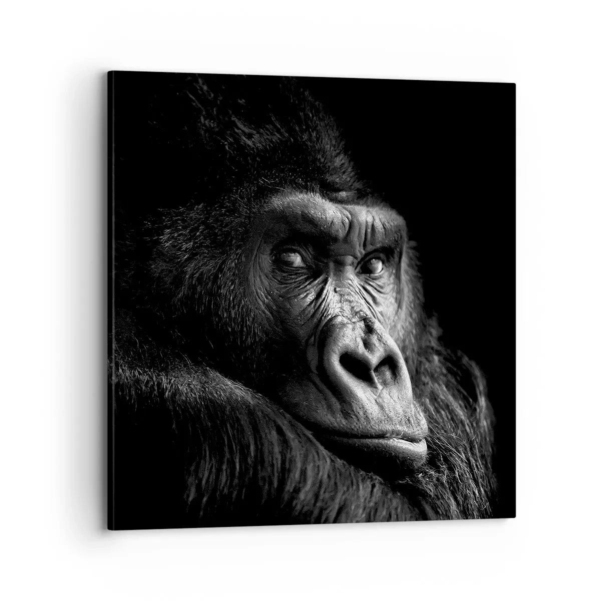 Tablou pe pânză - Și la ce te uiți? - 70x70 cm