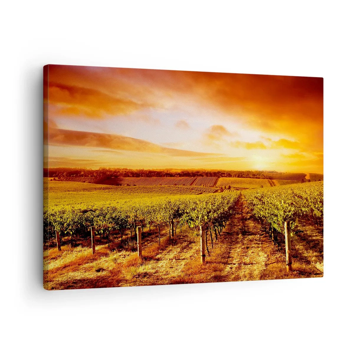 Tablou pe pânză Canvas - Podgorie la apus cu tonuri calde de cer - 70x50cm - Cu un iz de fructe, cu o notă de soare - Decorațiune modernă pentru perete pentru living și dormitor ARTTOR