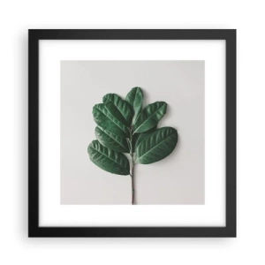 Poster în ramă neagră - Desenul naturii însăși - 30x30 cm