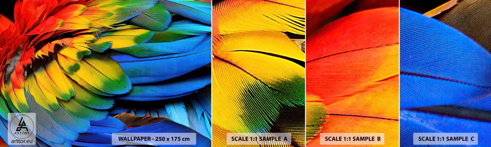 Mostră tapet autocolant Deluxe Sticker - Pasăre de paradis - Pene colorate, Pene de papagal, Animale - 100x30 cm