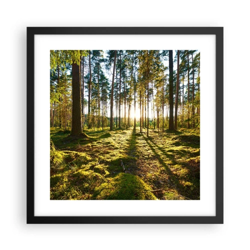 Poster în ramă neagră - Pădurea misterioasă - 40x40 cm