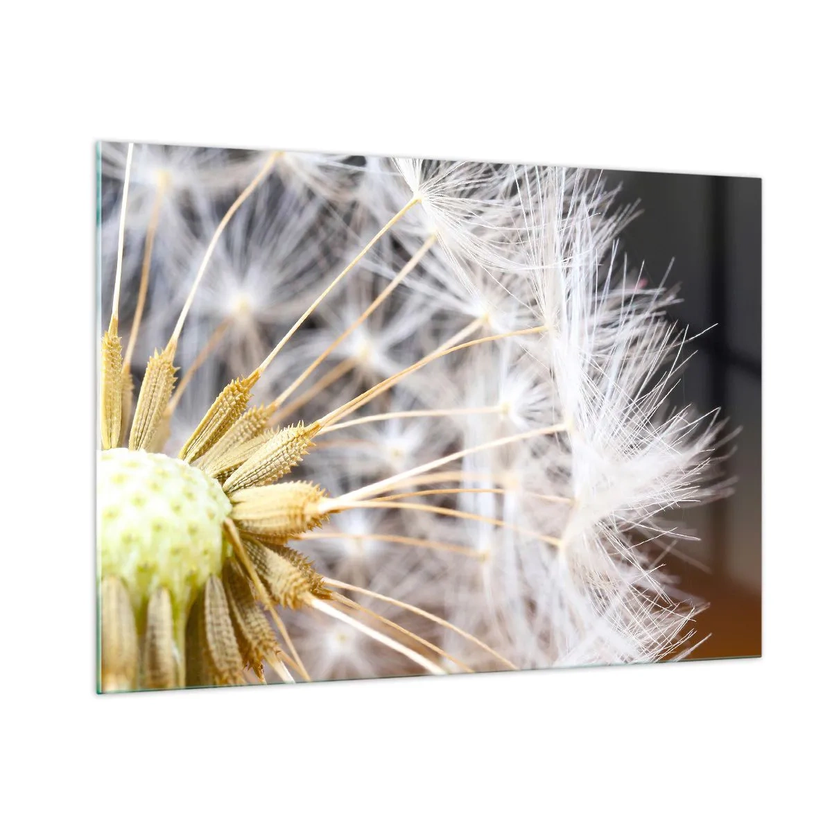 Tablou pe sticlă - Chiar înainte de zbor... - 100x70 cm