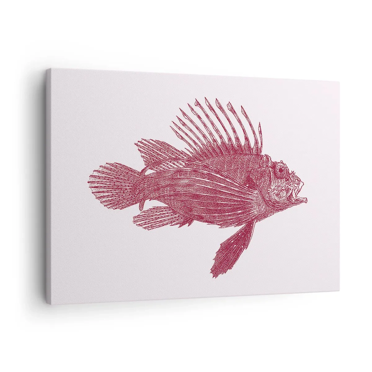 Tablou pe pânză Canvas - Desenul unui pește într-o nuanță roșie - 70x50cm - Un locuitor al apelor exotice - Decorațiune modernă pentru perete pentru living și dormitor ARTTOR