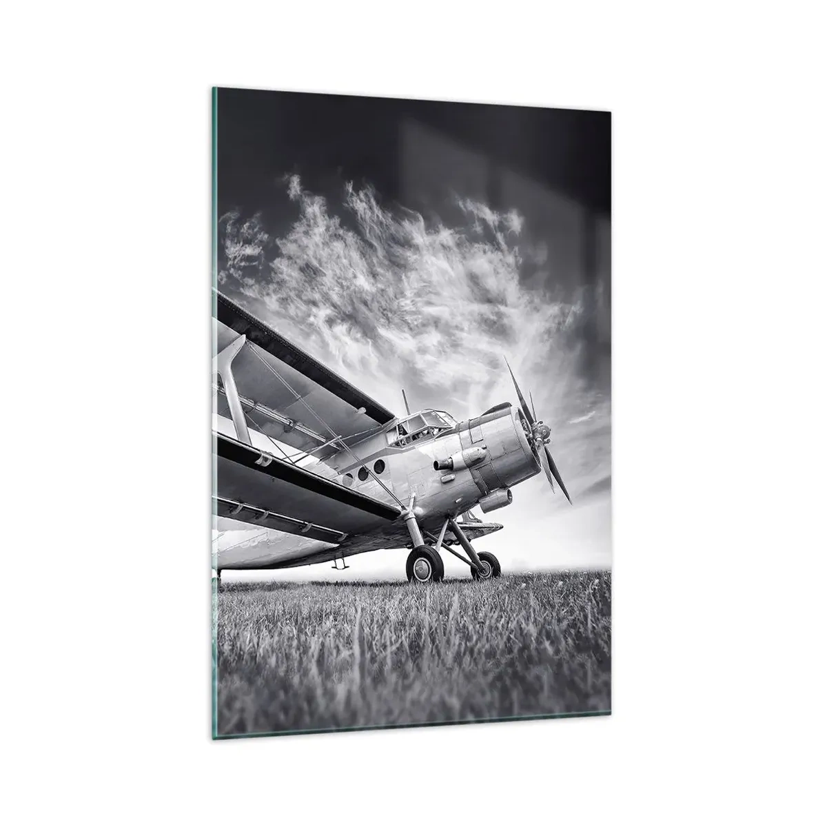 Tablou pe sticlă - Rătăcitorul înaripat - 80x120 cm