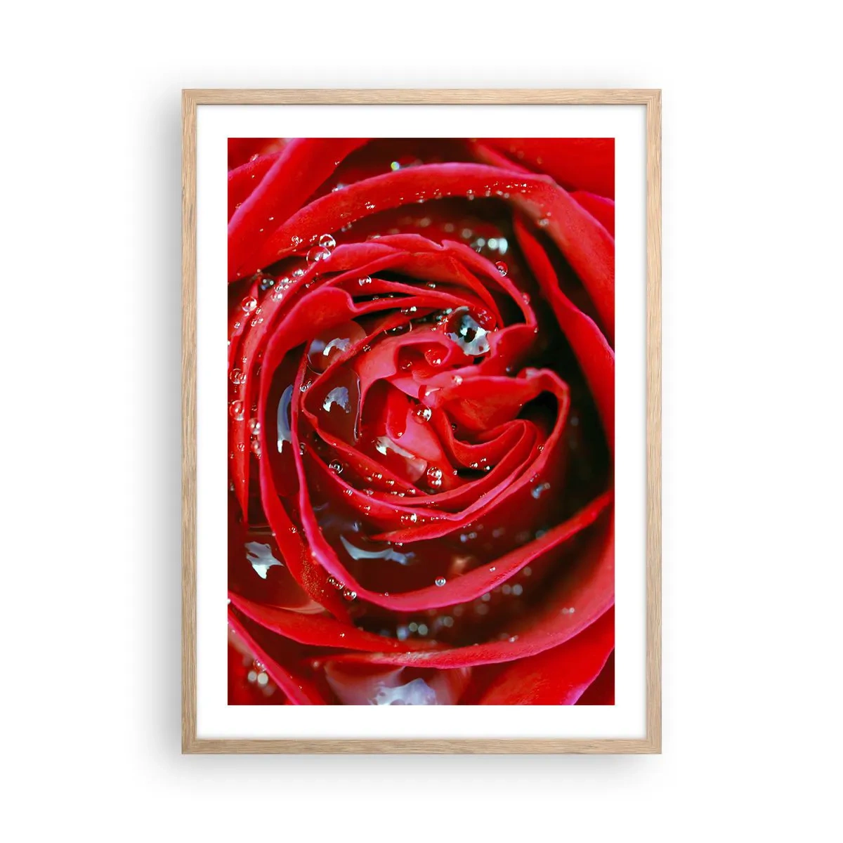 Poster în ramă de stejar deschis - În picături de rouă - 50x70 cm