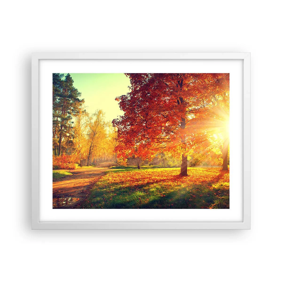Poster în ramă albă - Roșcatul este frumos - 50x40 cm