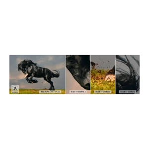 Mostră de Tapet Standard Eco - Frumos și liber - Animale, Cal, Peisaj - 100x30 cm