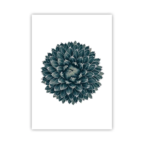 Poster - Steaua deșertului - 70x100 cm